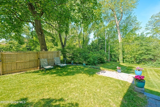 9 S Maple Ln, Colonie, NY 12211 - view of yard featuring a patio
