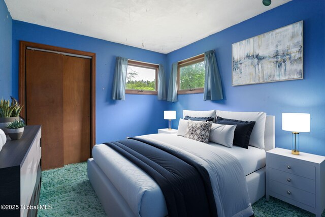 195 N St, Cobleskill, NY 12043 - carpeted bedroom featuring a closet