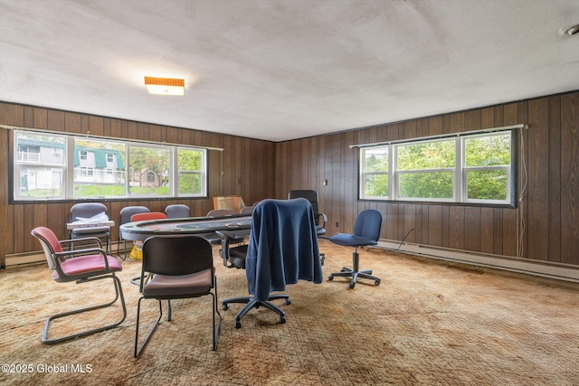 195 N St, Cobleskill, NY 12043 - office area with wood walls, carpet floors, a textured ceiling, and a baseboard heating unit