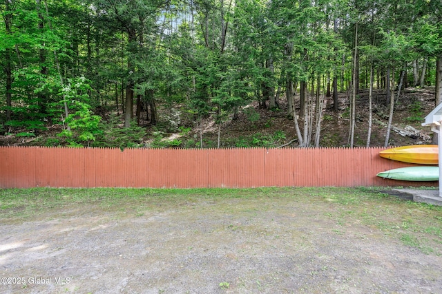 858 E River Dr, Lake Luzerne, NY 12846 - view of yard