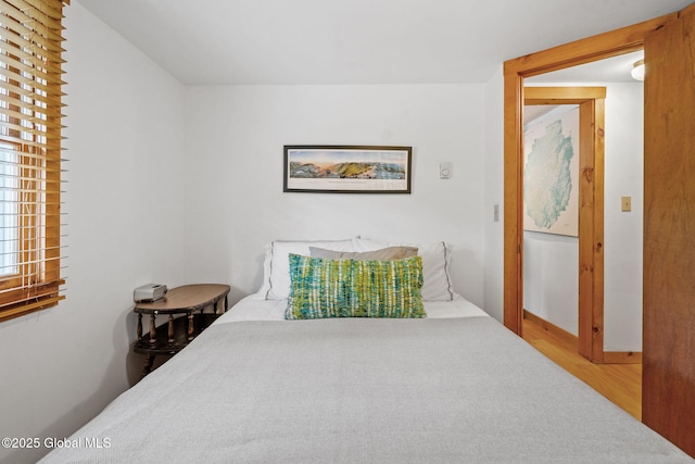 858 E River Dr, Lake Luzerne, NY 12846 - bedroom with wood finished floors