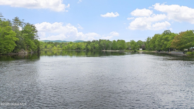 858 E River Dr, Lake Luzerne, NY 12846 - water view with a heavily wooded area