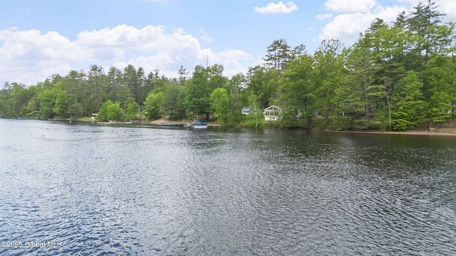 858 E River Dr, Lake Luzerne, NY 12846 - water view