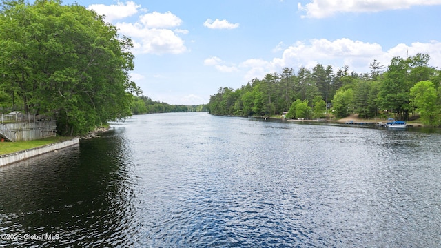 858 E River Dr, Lake Luzerne, NY 12846 - water view with a forest
