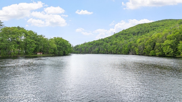 858 E River Dr, Lake Luzerne, NY 12846 - water view with a forest