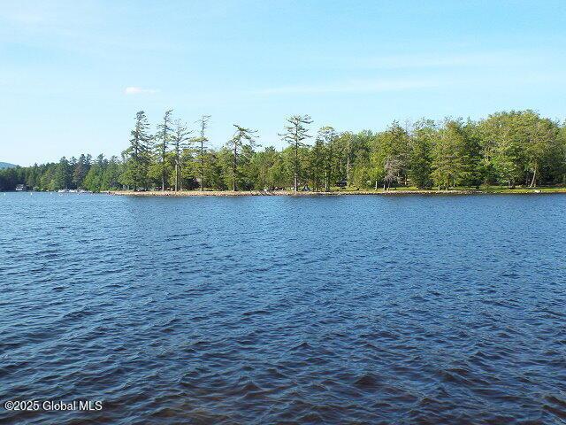 218 S Shore Rd, E Caroga, Caroga Lake, NY 12032 - photo 30