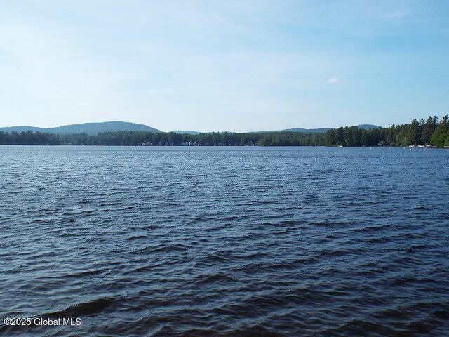 218 S Shore Rd, E Caroga, Caroga Lake, NY 12032 - photo 31