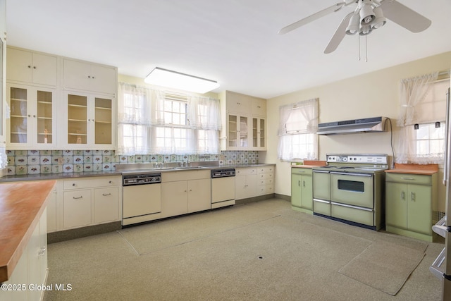 2125 Rosendale Rd, Niskayuna, NY 12309 - kitchen with stove, under cabinet range hood, white dishwasher, and butcher block countertops