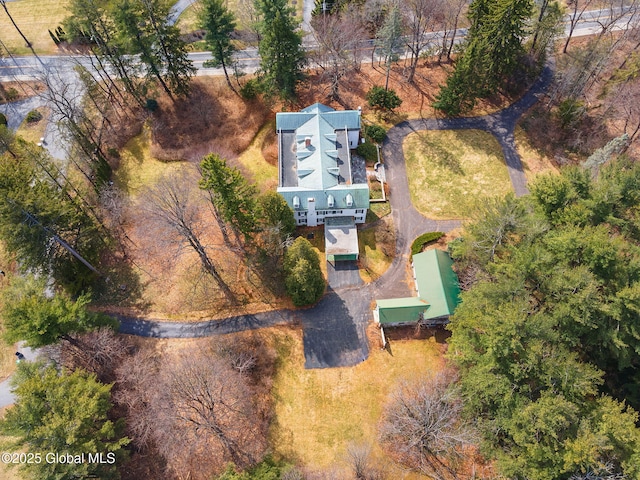2125 Rosendale Rd, Niskayuna, NY 12309 - view from above of property