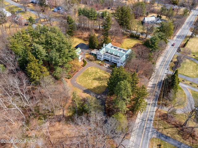 2125 Rosendale Rd, Niskayuna, NY 12309 - view of property location
