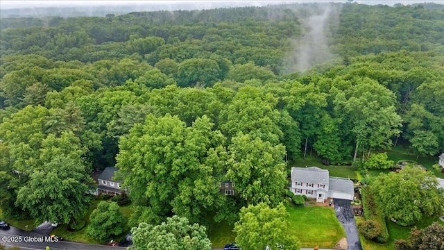 19 Canterbury Rd, Clifton Park, NY 12065 - aerial view of a forest