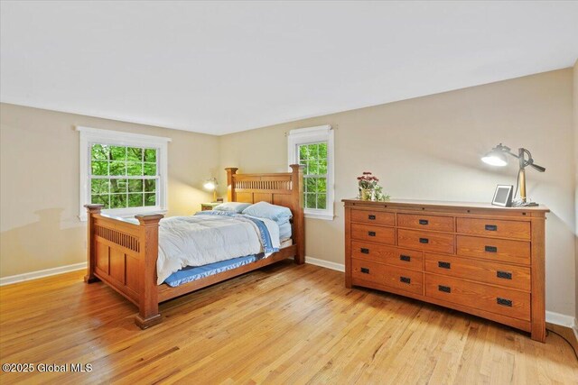 19 Canterbury Rd, Clifton Park, NY 12065 - bedroom with light wood-type flooring and multiple windows