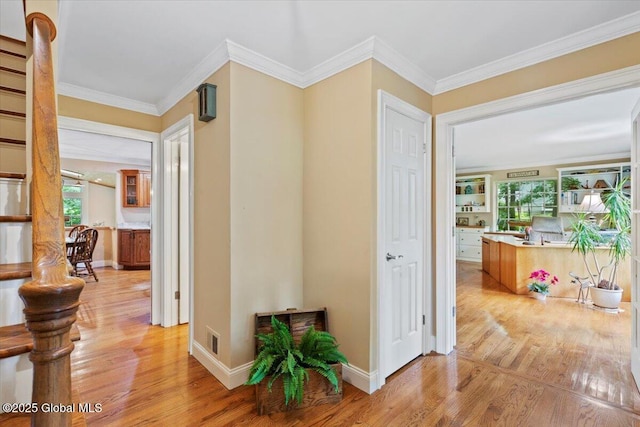 19 Canterbury Rd, Clifton Park, NY 12065 - hallway with light wood-type flooring, healthy amount of natural light, and crown molding