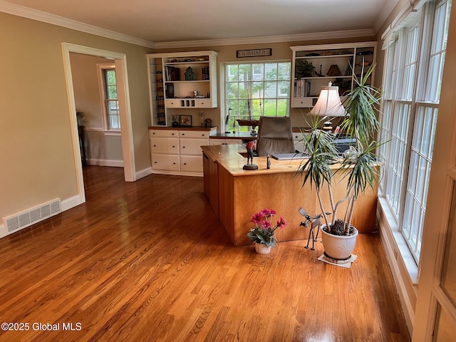 19 Canterbury Rd, Clifton Park, NY 12065 - office area featuring wood finished floors and crown molding