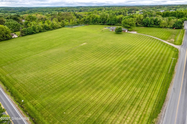 730 Mckay Rd, Amsterdam, NY 12010 - photo 4