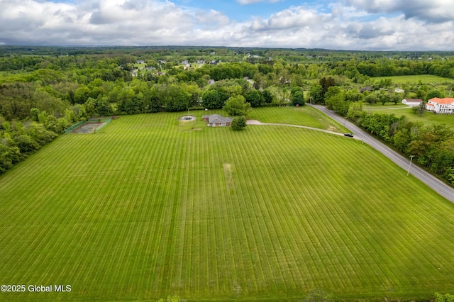 730 Mckay Rd, Amsterdam, NY 12010 - photo 1