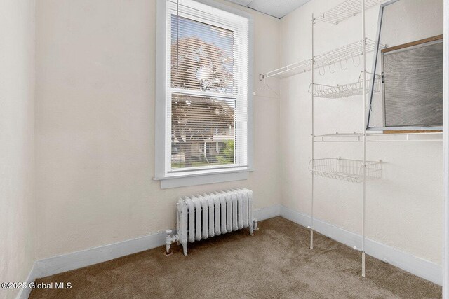 423 Quail St, Albany, NY 12208 - photo 34