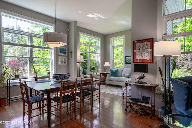 26 Galleon Dr Unit 26, Malta, NY 12020 - dining space with wood finished floors