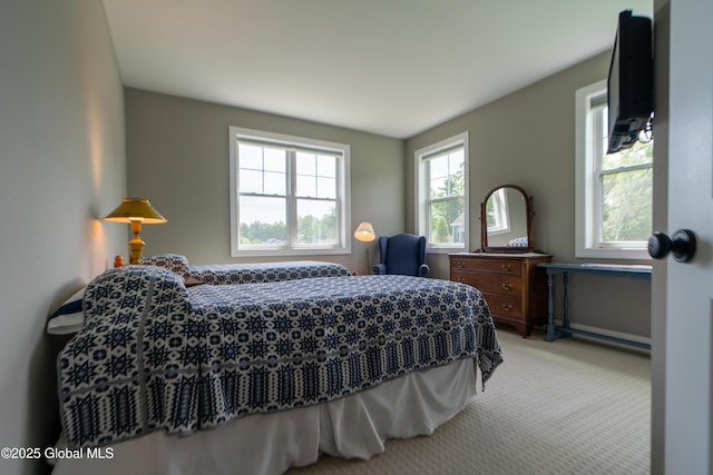 26 Galleon Dr Unit 26, Malta, NY 12020 - bedroom featuring light carpet