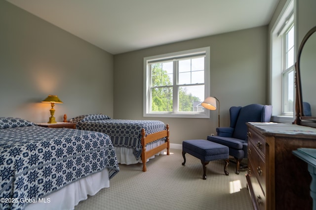 26 Galleon Dr Unit 26, Malta, NY 12020 - carpeted bedroom featuring baseboards