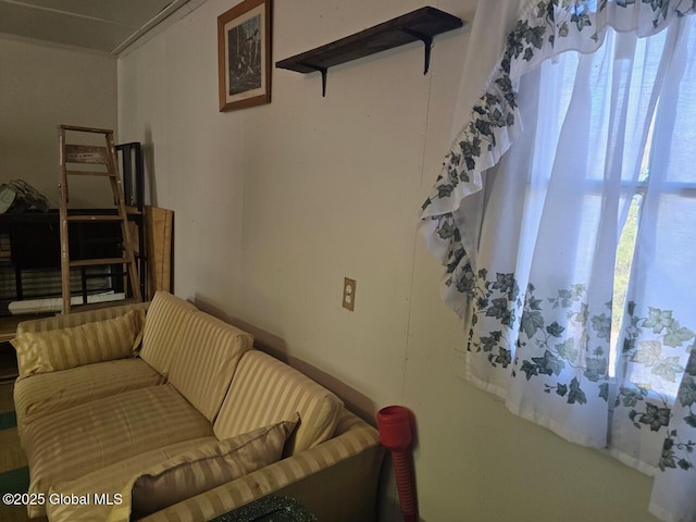243 Trout Brook Rd, Minerva, NY 12857 - photo 8