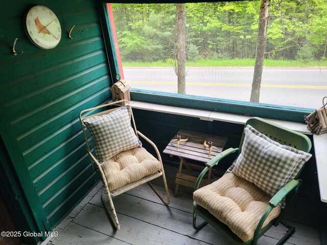 243 Trout Brook Rd, Minerva, NY 12857 - photo 4