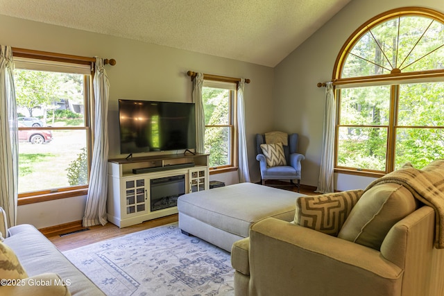 844 Red Oak Dr, Niskayuna, NY 12309 - living area with lofted ceiling, a textured ceiling, wood finished floors, baseboards, and a glass covered fireplace