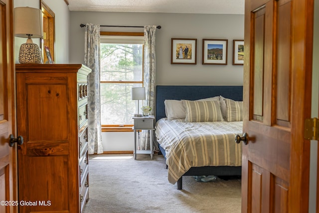 844 Red Oak Dr, Niskayuna, NY 12309 - bedroom with carpet