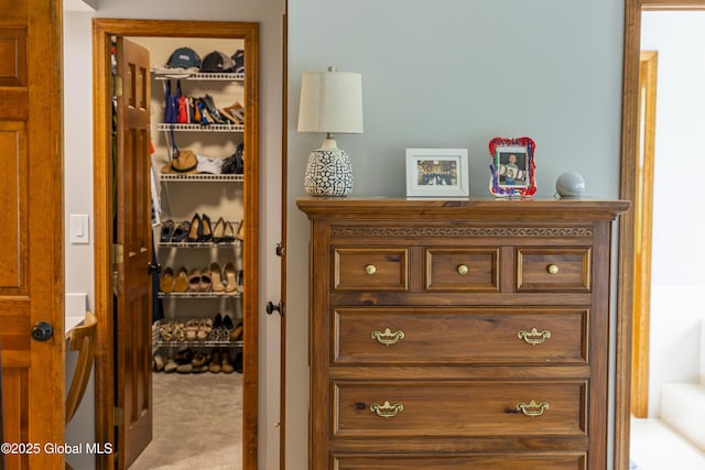 844 Red Oak Dr, Niskayuna, NY 12309 - detailed view of carpet