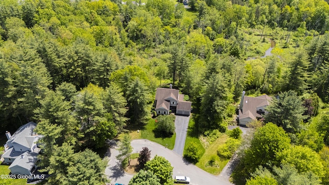 844 Red Oak Dr, Niskayuna, NY 12309 - drone / aerial view of a forest