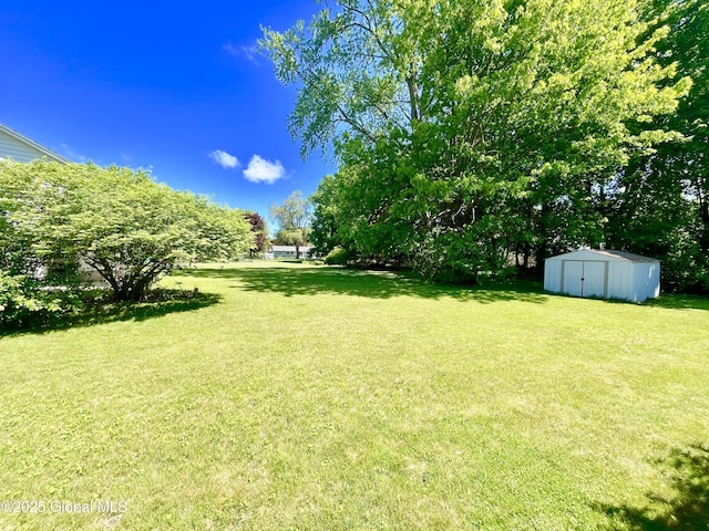 19 Lillian Dr, Glenville, NY 12302 - view of green lawn