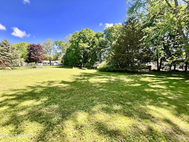 19 Lillian Dr, Glenville, NY 12302 - view of yard