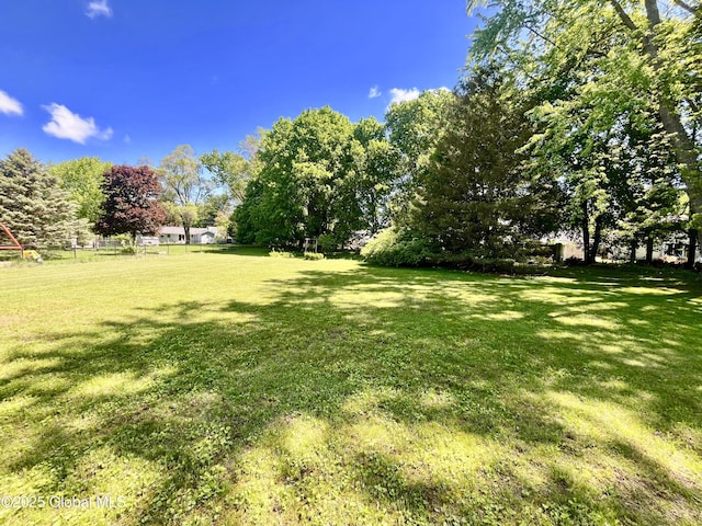 19 Lillian Dr, Glenville, NY 12302 - view of yard