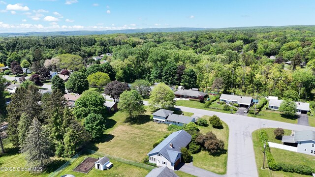 19 Lillian Dr, Glenville, NY 12302 - aerial perspective of suburban area featuring a heavily wooded area