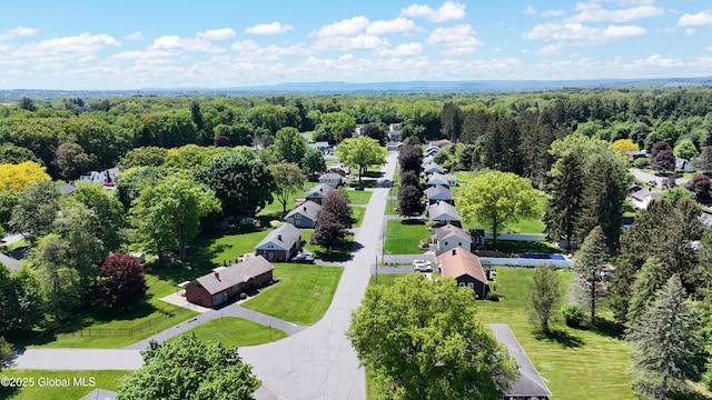 19 Lillian Dr, Glenville, NY 12302 - aerial view of residential area with a forest