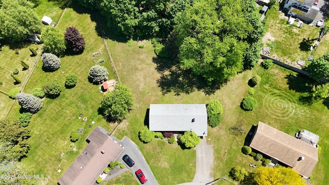 19 Lillian Dr, Glenville, NY 12302 - drone / aerial view