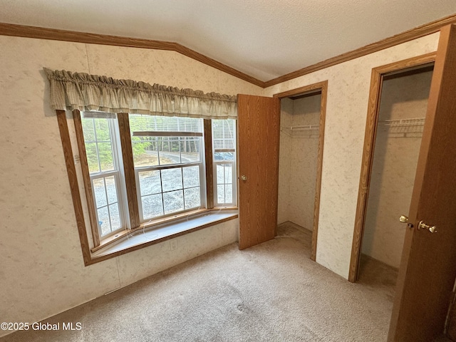 6041 Rte 9n, Hadley, NY 12835 - unfurnished bedroom with lofted ceiling, multiple closets, carpet, ornamental molding, and a textured wall