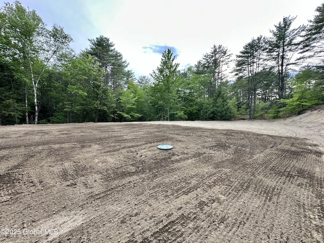 6041 Rte 9n, Hadley, NY 12835 - view of yard