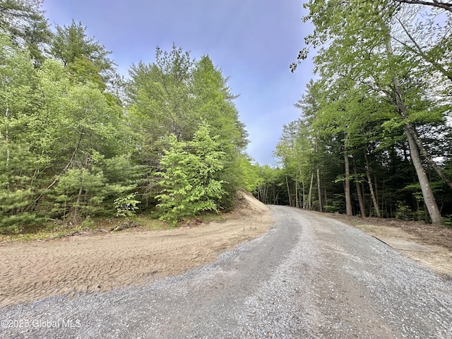 6041 Rte 9n, Hadley, NY 12835 - view of road with a view of trees