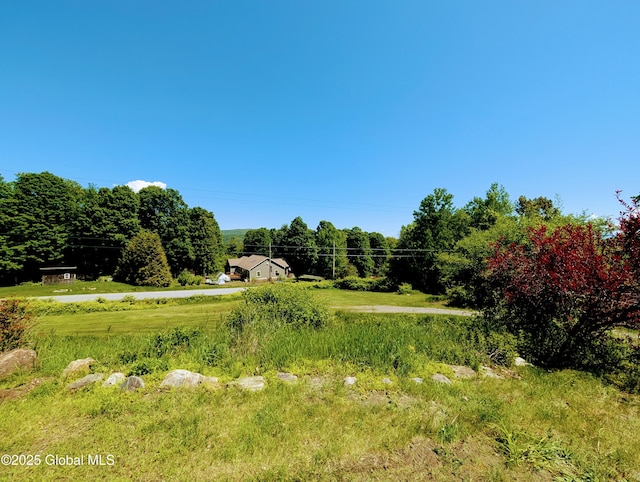 258 Middle Rd, Crown Point, NY 12928 - view of yard