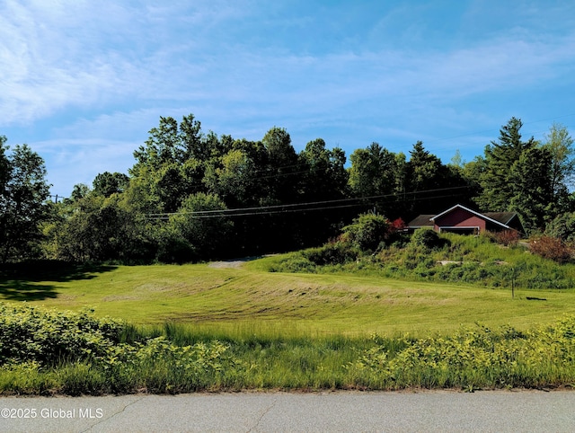 258 Middle Rd, Crown Point, NY 12928 - view of yard