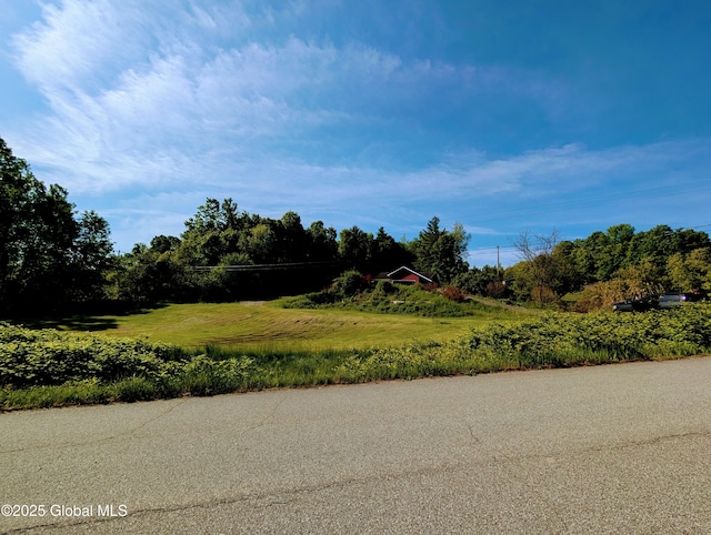 258 Middle Rd, Crown Point, NY 12928 - view of asphalt road