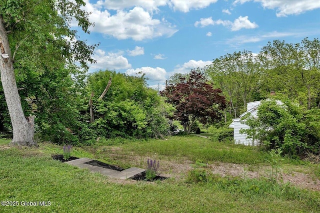 55 Fairview Ave, Hudson, NY 12534 - view of yard