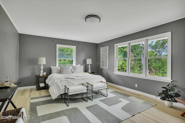 55 Fairview Ave, Hudson, NY 12534 - bedroom with wood finished floors and baseboards