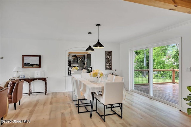 55 Fairview Ave, Hudson, NY 12534 - dining room with light wood-style floors and crown molding