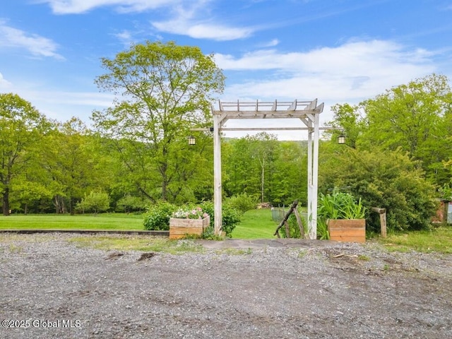 440 Posson Hill Rd, Middleburgh, NY 12122 - view of yard featuring a pergola
