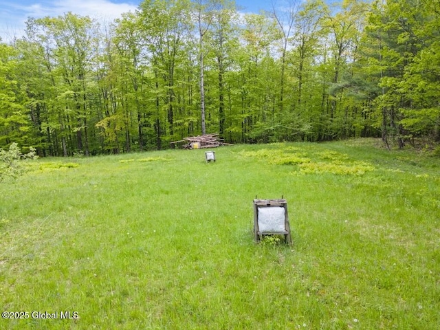 440 Posson Hill Rd, Middleburgh, NY 12122 - view of yard