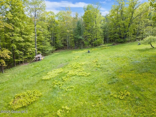 440 Posson Hill Rd, Middleburgh, NY 12122 - view of green lawn featuring a wooded view