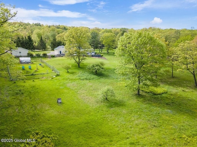 440 Posson Hill Rd, Middleburgh, NY 12122 - aerial view of a forest