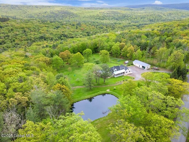 440 Posson Hill Rd, Middleburgh, NY 12122 - bird's eye view of a forest and a large body of water